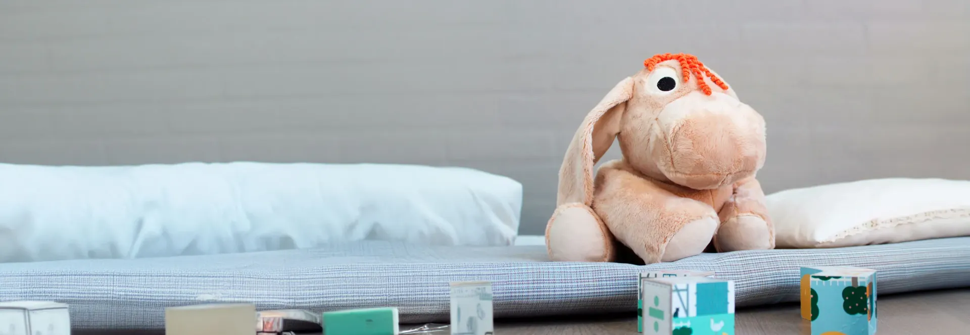 Confort et calme avec Rita l’âne